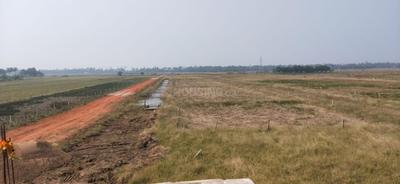 Image of 1300 Sq.ft Residential Plot / Land for sale in Atharanala, Puri for Rs. 1300000