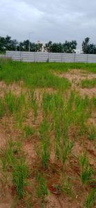Image of 44000 Sq.ft Residential Plot / Land for sale in Hoskote, Bengaluru for Rs. 100000000