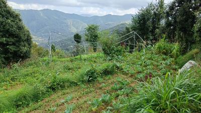 mukteshwar meadows Plot View 2