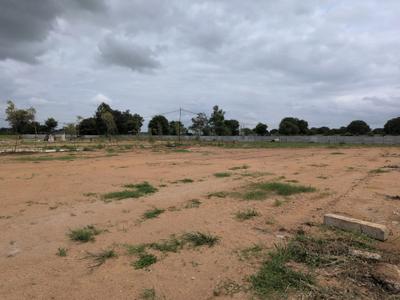 Open plot kothur Plot View 1