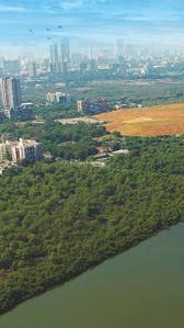 Image of 499 Sq.ft 1 BHK Apartment / Flat for sale in Marine View, Borivali West, Mumbai for Rs. 9900000