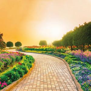 Image of 121 Sq.ft Residential Plot / Land for sale in JMS The Nation, Sector 95, Gurgaon for Rs. 24200000