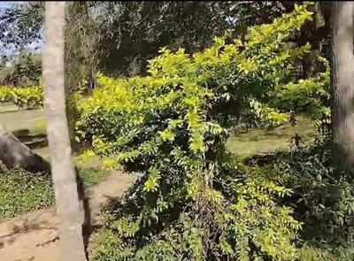 Image of 875000 Sq.ft Residential Plot / Land for sale in Mulbagal, Kolar for Rs. 500000000