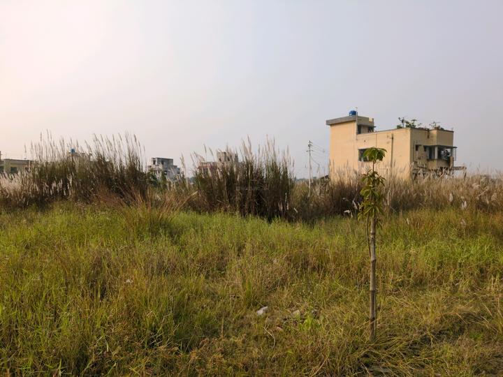 Metroplex City Main Image 1