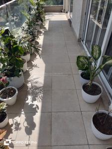 Balcony Image of 2500 Sq.ft 4 BHK Builder Floor for rent in Sector 49 Gurgaon for Rs. 78000