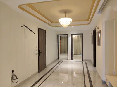 Drying Area Image of 2500 Sq.ft 4 BHK Builder Floor for sale in Sector 9 Gurgaon for Rs. 31500000