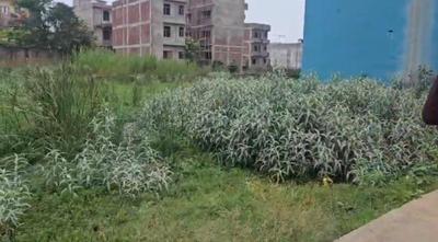Image of 1361 Sq.ft Residential Plot / Land for sale in Gola Road, Patna for Rs. 15000000