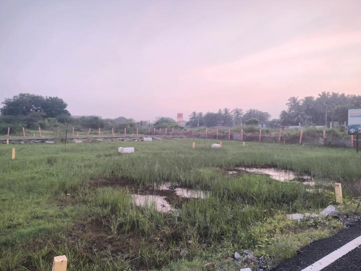 RWD Bliss Main Image 1