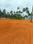 Ollur Main Image 1