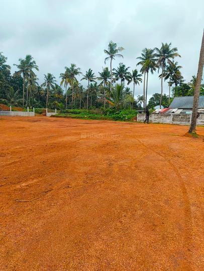 Ollur Main Image 1
