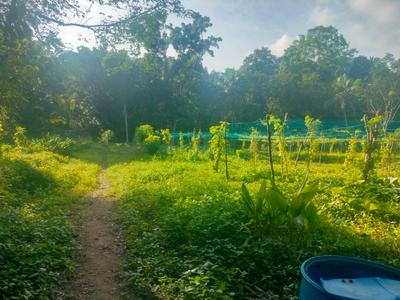 Image of 435600 Sq.ft Residential Plot / Land for sale in Kattilappoovam, Killannur, Thrissur for Rs. 60000000