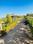 Saidpura Plot View 2