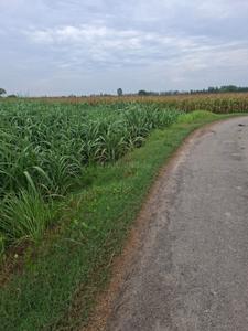 Image of 30240 Sq.ft Residential Plot / Land for sale in Garh Mukteshwar, Hapur for Rs. 64000001