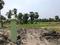BHASA ECO VILLEGE Plot View 2