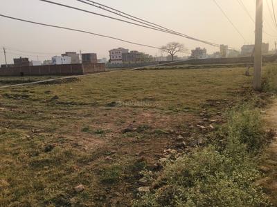 Danapur Plot View 2