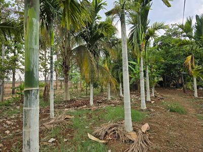 Image of 174240 Sq.ft Residential Plot / Land for sale in Doddaballapura, Bengaluru for Rs. 104000000