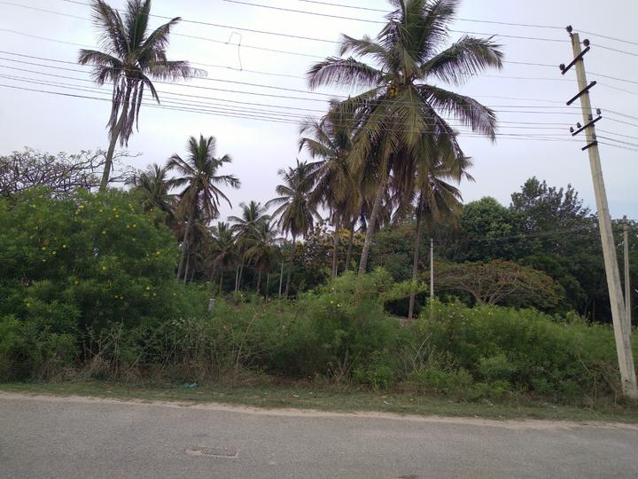 Bhoomika Royal Heritage Garden Main Image 1