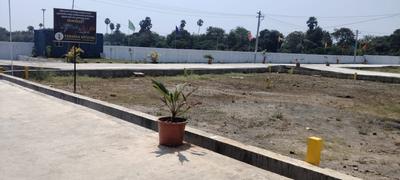 Residential Plot