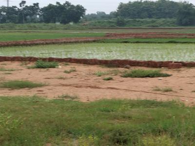 Image of 1000 Sq.ft Residential Plot / Land for sale in Benupur, Bhubaneswar for Rs. 2300000