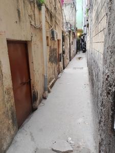Image of 699 Sq.ft 3 BHK Independent House for sale in Chhattarpur, New Delhi for Rs. 4000000