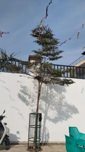 Image of 1000 Sq.ft 2 BHK Independent House for sale in Jagjivanpur, Ghaziabad for Rs. 460000