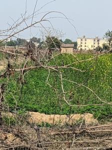 Image of 4840 Sq.ft Residential Plot / Land for sale in Manjhawali, Faridabad for Rs. 9000000