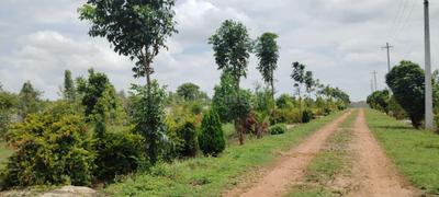 Image of 6000 Sq.ft Residential Plot / Land for sale in Gollahalli, Bengaluru for Rs. 4800000