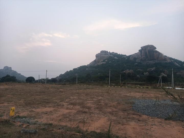 Maisigandi Main Image 1