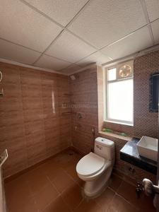 Bathroom Image of Lavender Nest Girls PG in Noida Extension, Greater Noida