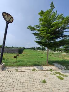 Image of 1350 Sq.ft Residential Plot / Land for sale in Sector 97, Faridabad for Rs. 13500000