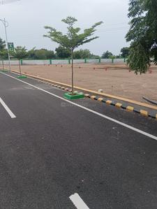 TGP GOLDEN CITY Plot View 1