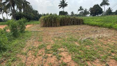 Image of 3267 Sq.ft Residential Plot / Land for sale in Nandi Hills, Chikballapur District for Rs. 6000000