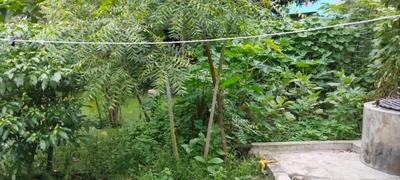 Image of 900 Sq.ft 1 RK Independent House for sale in Maheshtala, Kolkata for Rs. 1600000