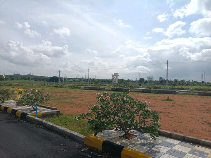 SGD Elite Main Image 1