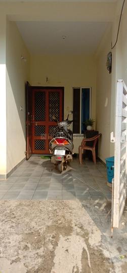 Nipania Main Image 1