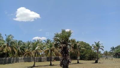 Image of 30000 Sq.ft Residential Plot / Land for sale in Mugaiyur, Chennai for Rs. 45000000