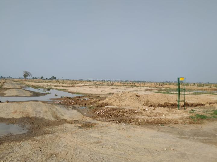 Yeida Main Image 1
