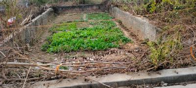 Image of 900 Sq.ft Residential Plot / Land for sale in Baprola, New Delhi for Rs. 8000000