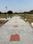 100 gaj plot Main Image 1