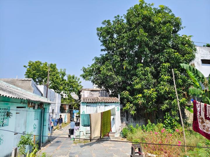 Near Chilakaluripet Bridge Main Image 1