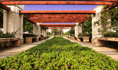 Image of 121 Sq.ft Residential Plot / Land for sale in JMS Prime Land, Sector 95A, Gurgaon for Rs. 19500000