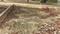 Sarnath Main Image 1