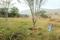 Bedla Plot View 2