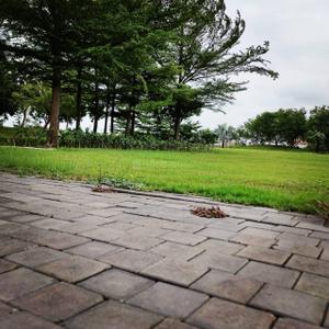 Image of 1530 Sq.ft Residential Plot / Land for sale in Sumeet Landscape, Semariya 2, Raipur for Rs. 3825000