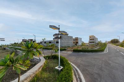 Phagi Plot View 3