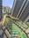 Pride World City Main Image 1
