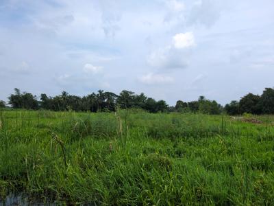 Nest Valley Plot View 2