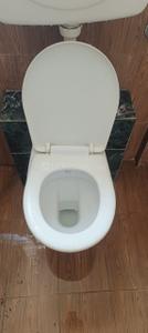 Bathroom Image of 1100 Sq.ft 2 BHK Apartment / Flat for rent in Moshi Pune for Rs. 13500