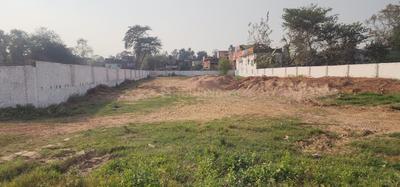 Bihta Plot View 3
