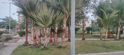 Image of 2400 Sq.ft Residential Plot / Land for sale in Aarone Oasis, County Walk Township, Indore for Rs. 21600000